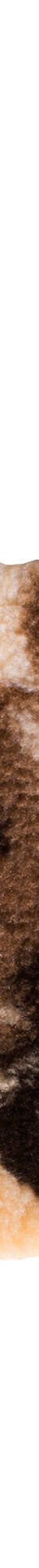 Tapis de bain Zen (beige) Tapis de bain Zen (beige)
